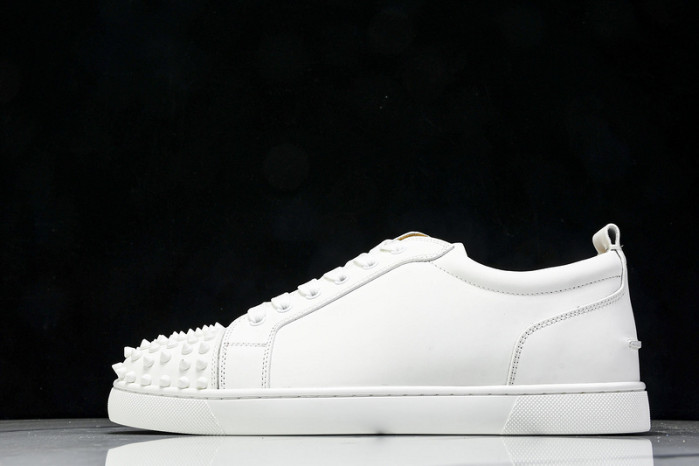 Chr1st1an loubout1n customize shoes