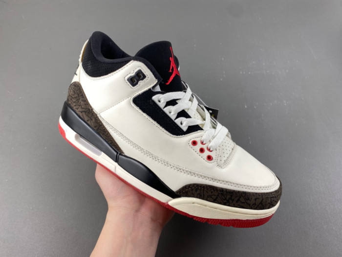 Air Jordan 3 Retro World