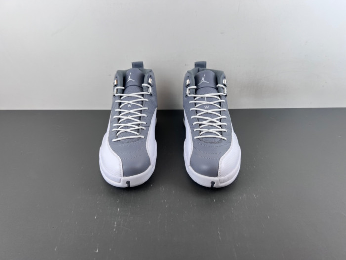 Air Jordan 12 Retro Stealth CT8013-015