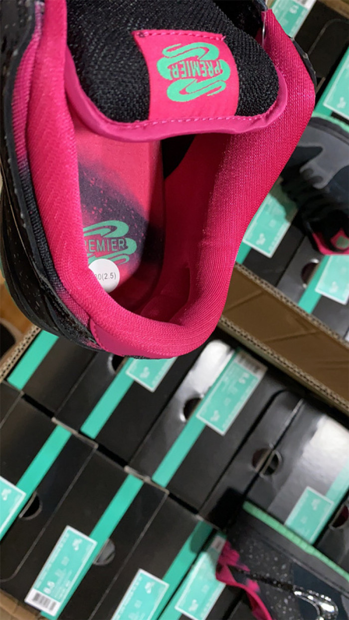 premier x nike sb dunk low premium “N0*Hern lights” 724183-063