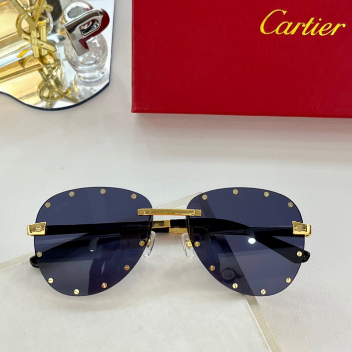 Ca*t1er sunglasses 202304003